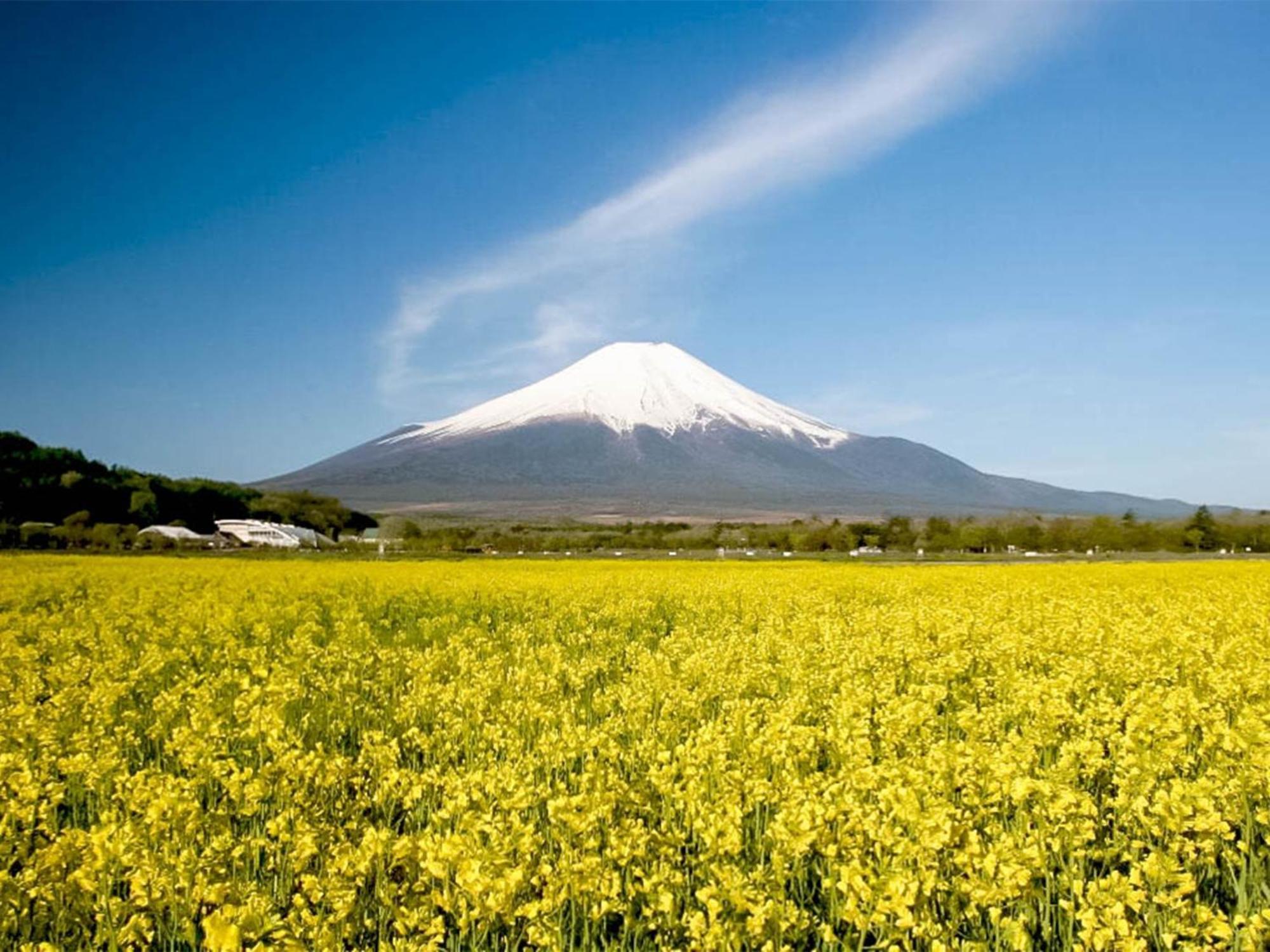 Minamitsuru-Gun - Hotel / Vacation Stay 45535 Yamanakako Luaran gambar